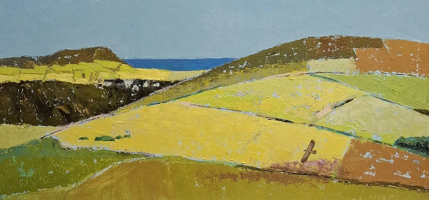 Dafila Scott SWLA - Pemrokeshire coast, summer and buzzard