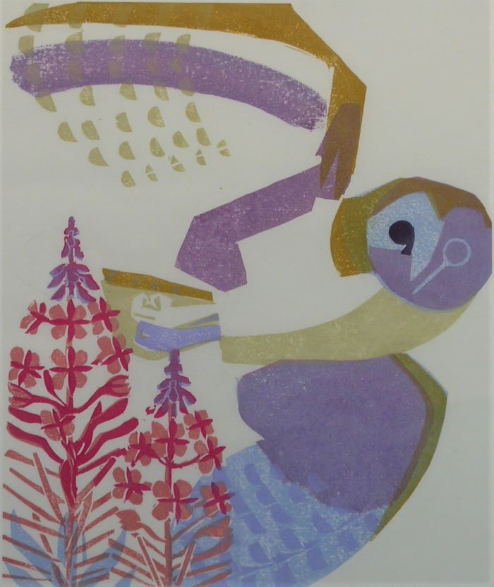 Matt Underwood SWLA - Over Willowherb