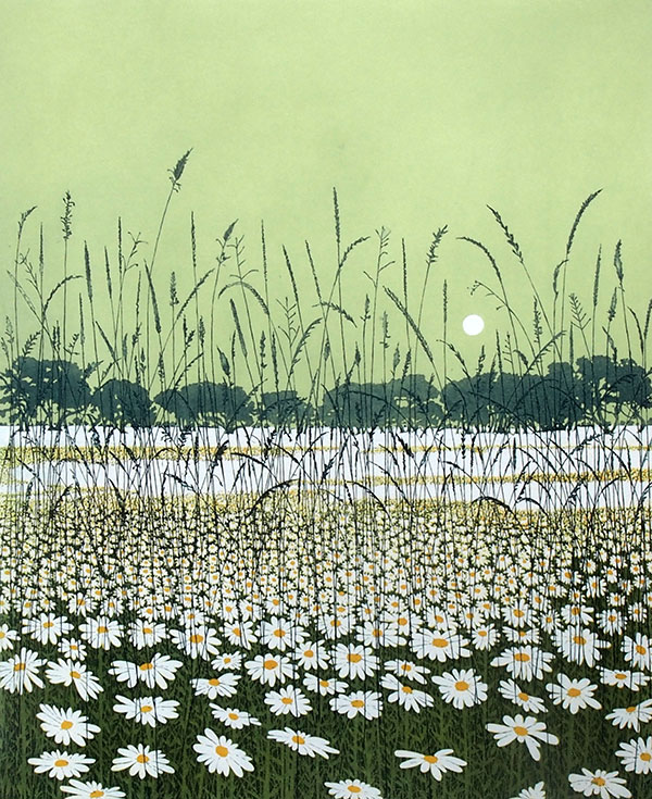 Phil Greenwood RE - Daisy Moon