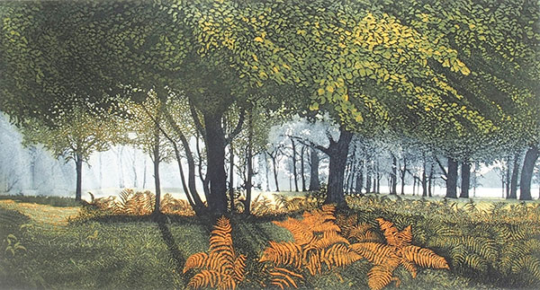 Phil Greenwood RE - Dawn Glade