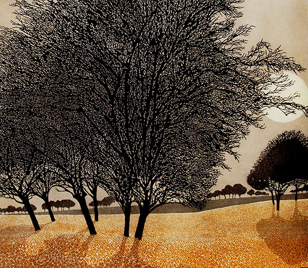 Phil Greenwood RE - Primrose Morn