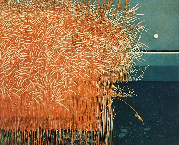 Phil Greenwood RE - Reeds