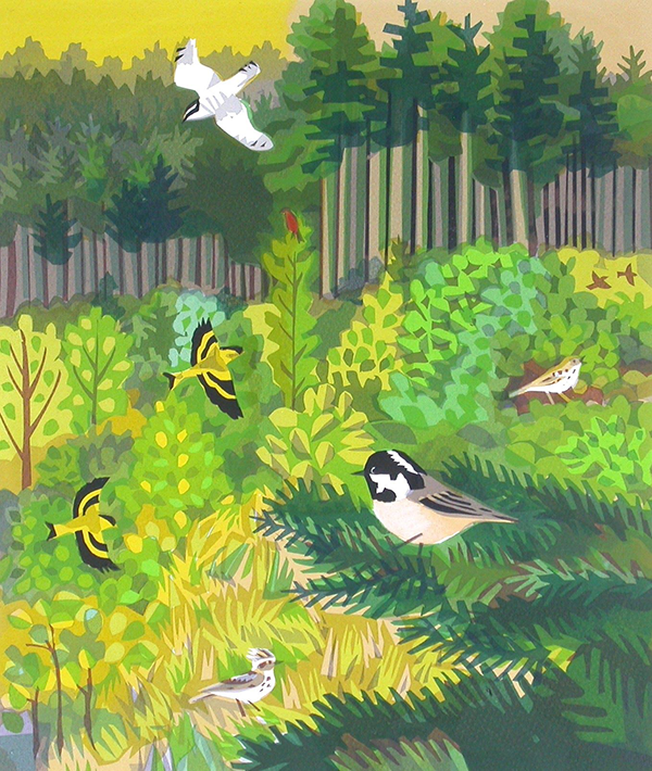 Carry Akroyd SWLA - Woodland Birds