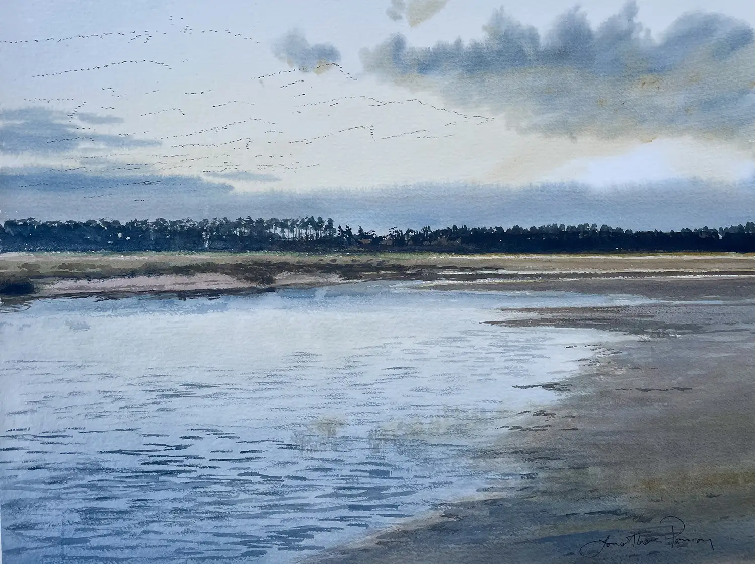 Jonathan Pomroy - Here they come! Pinkfeet arriving at Holkham
