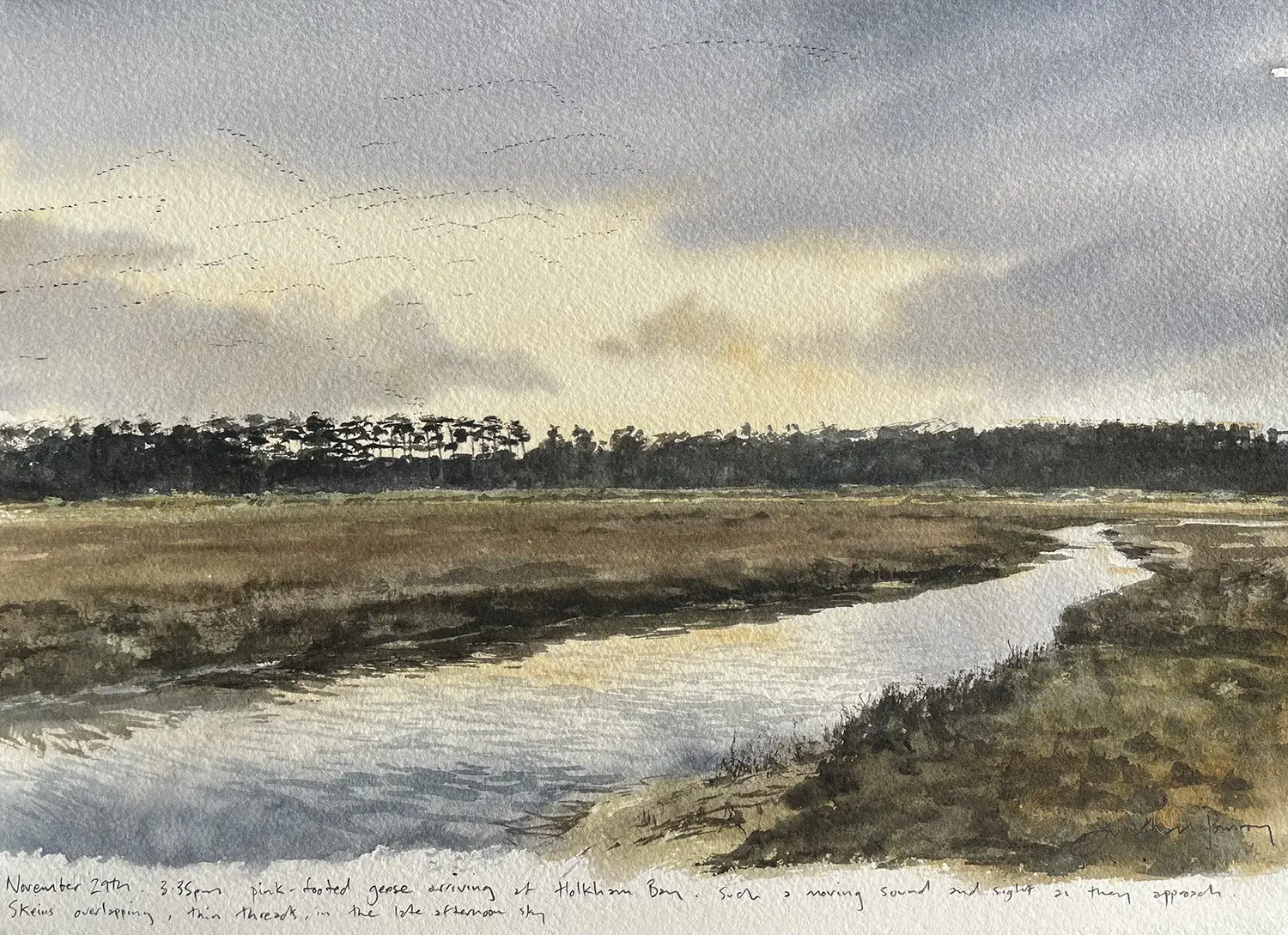 Jonathan Pomroy - Pinkfeet Holkham Bay