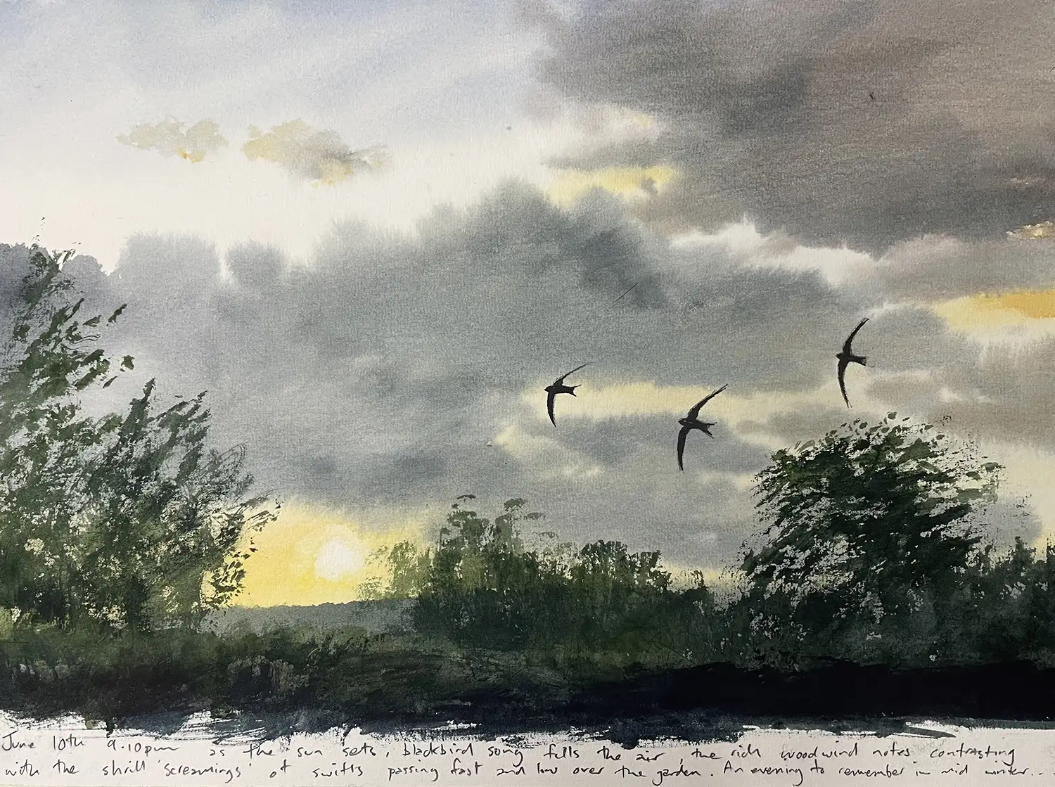 Jonathan Pomroy - Swift trio at sunset June 10th