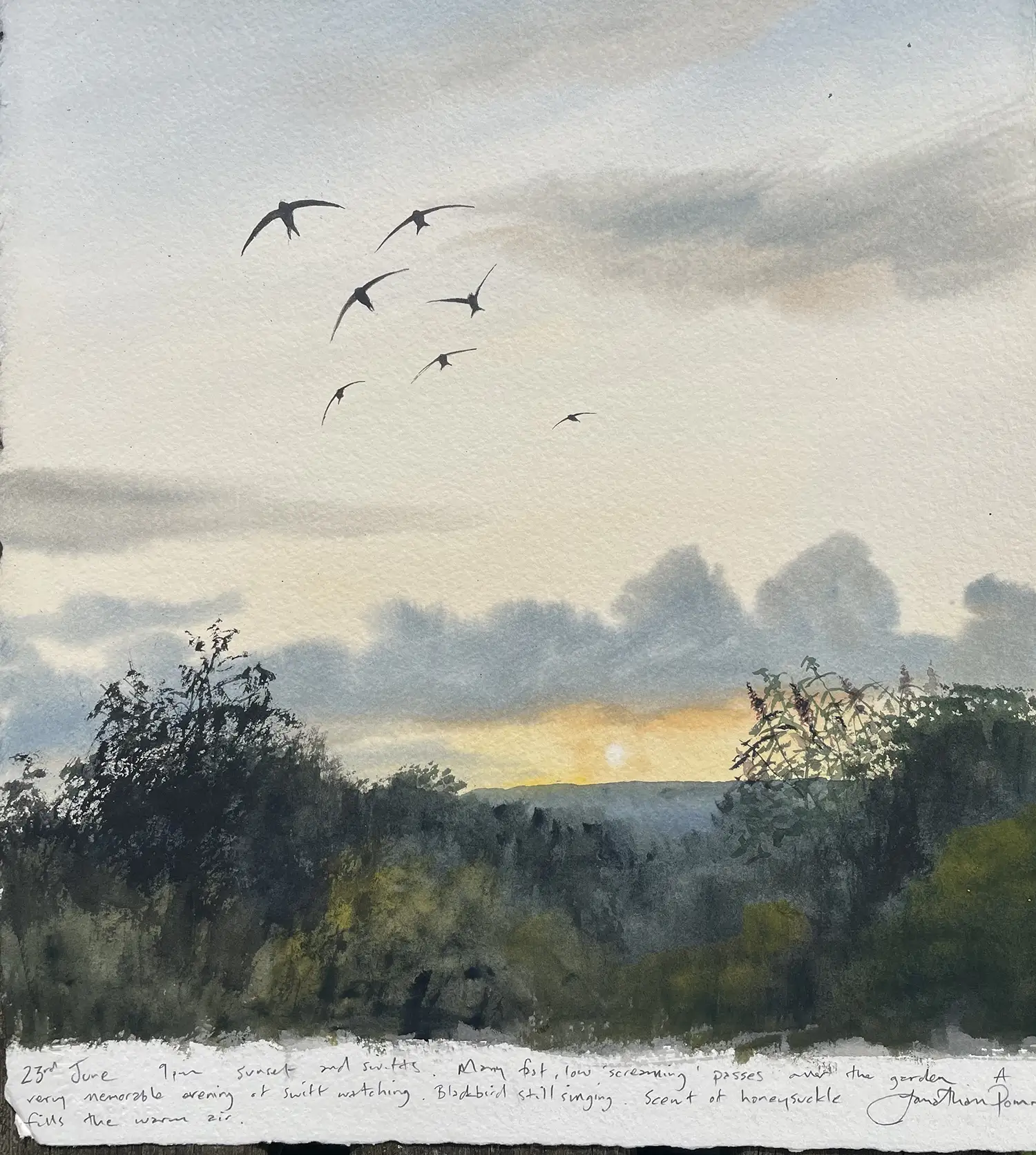 Jonathan Pomroy - Swifts low over the garden June 23rd