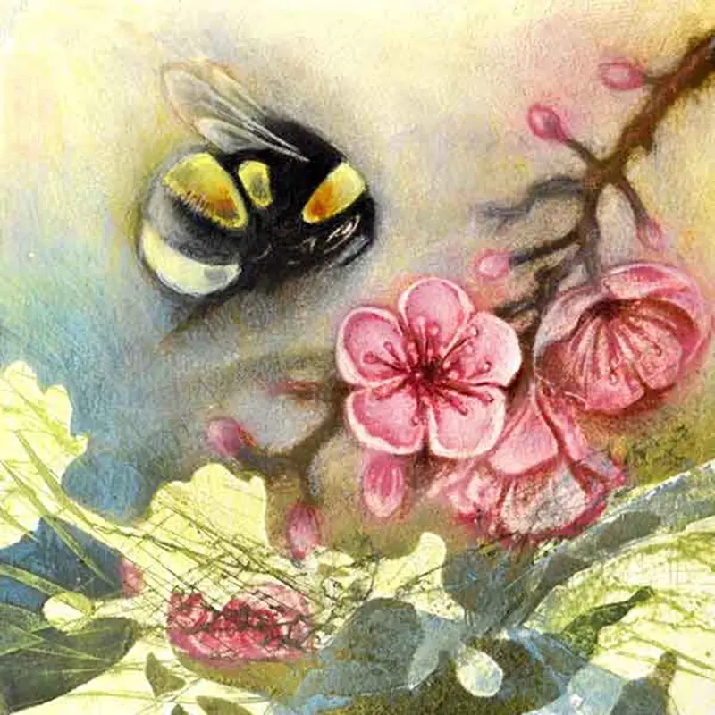Louise Bird