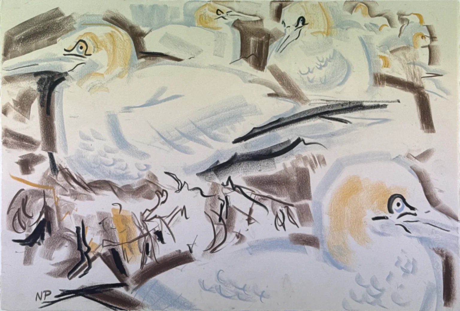 nik pollard swla gannets 2 field drawing bass rock 470x655 wax pastel 600 artwork