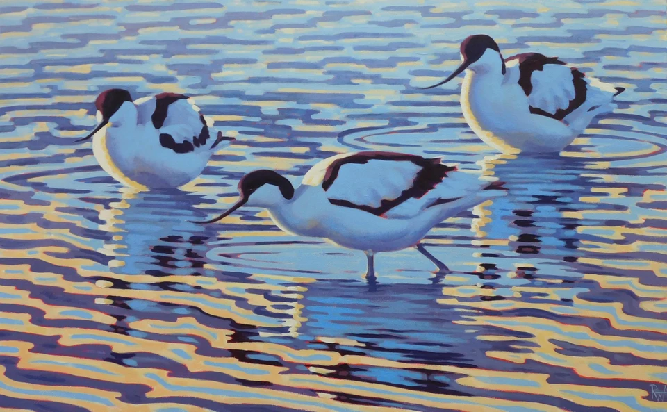 Richard Allen SWLA - Avocets at the creek